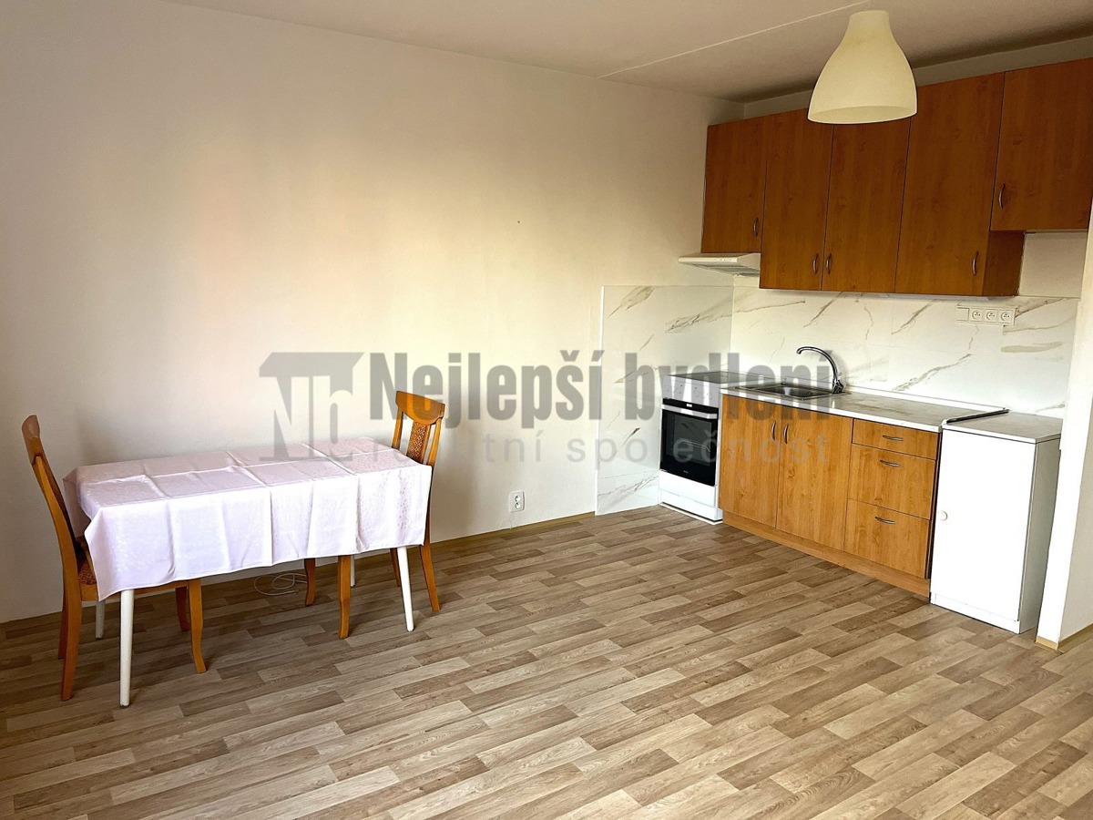 Căn hộ cho thuê · 1+kk · 33 m²