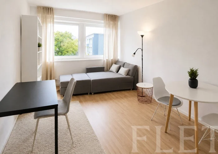 Căn hộ cho thuê · 1+kk · 26 m²