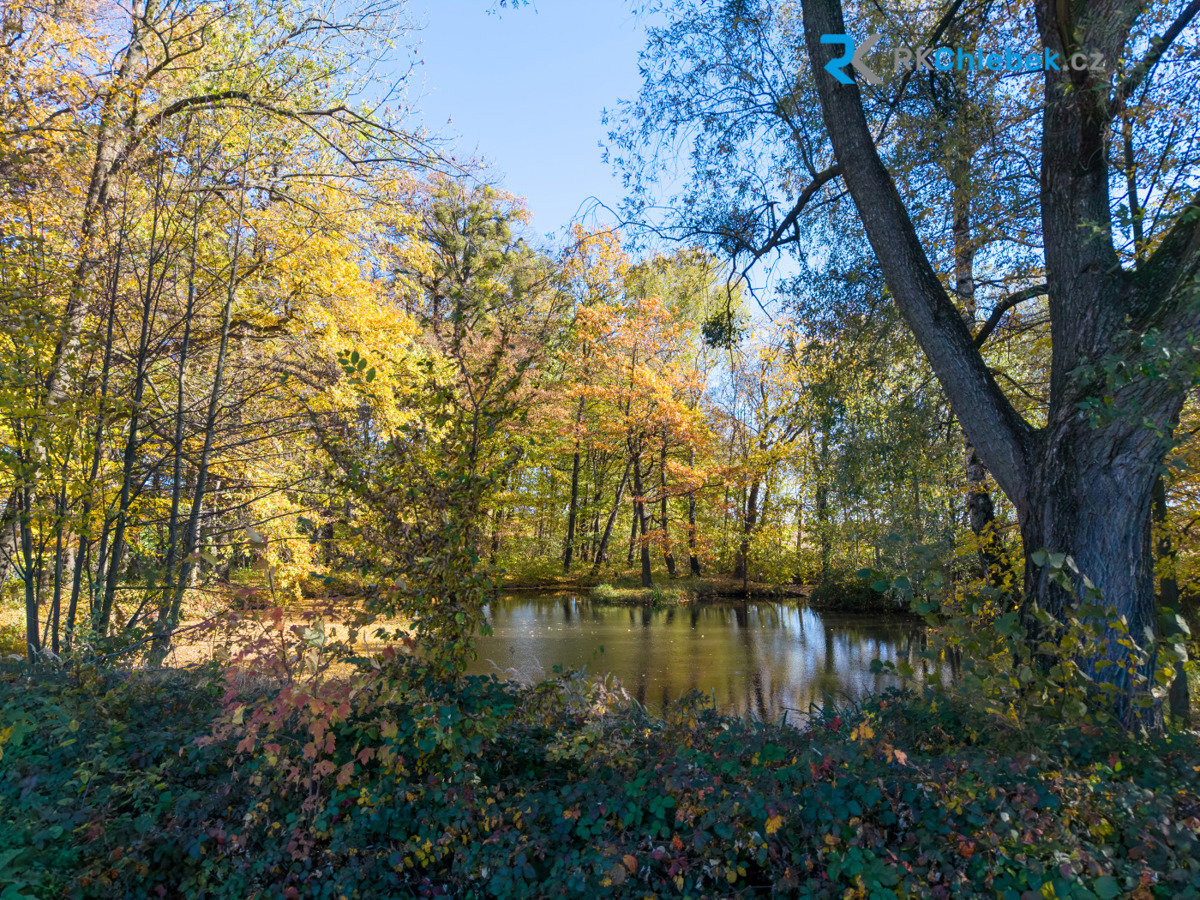Fotografie 19/19