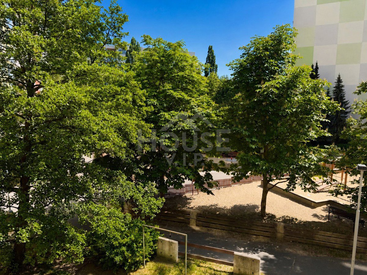 Fotografie 7/7