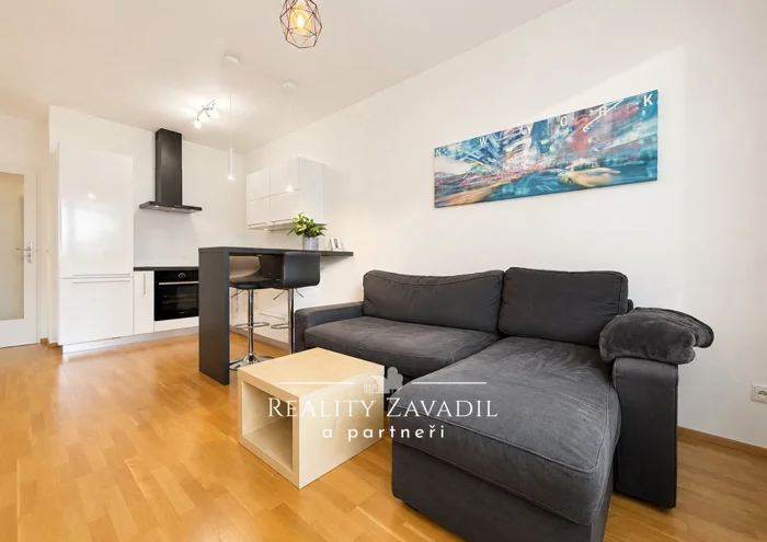 Pronájem bytu · 2+kk · 47 m²