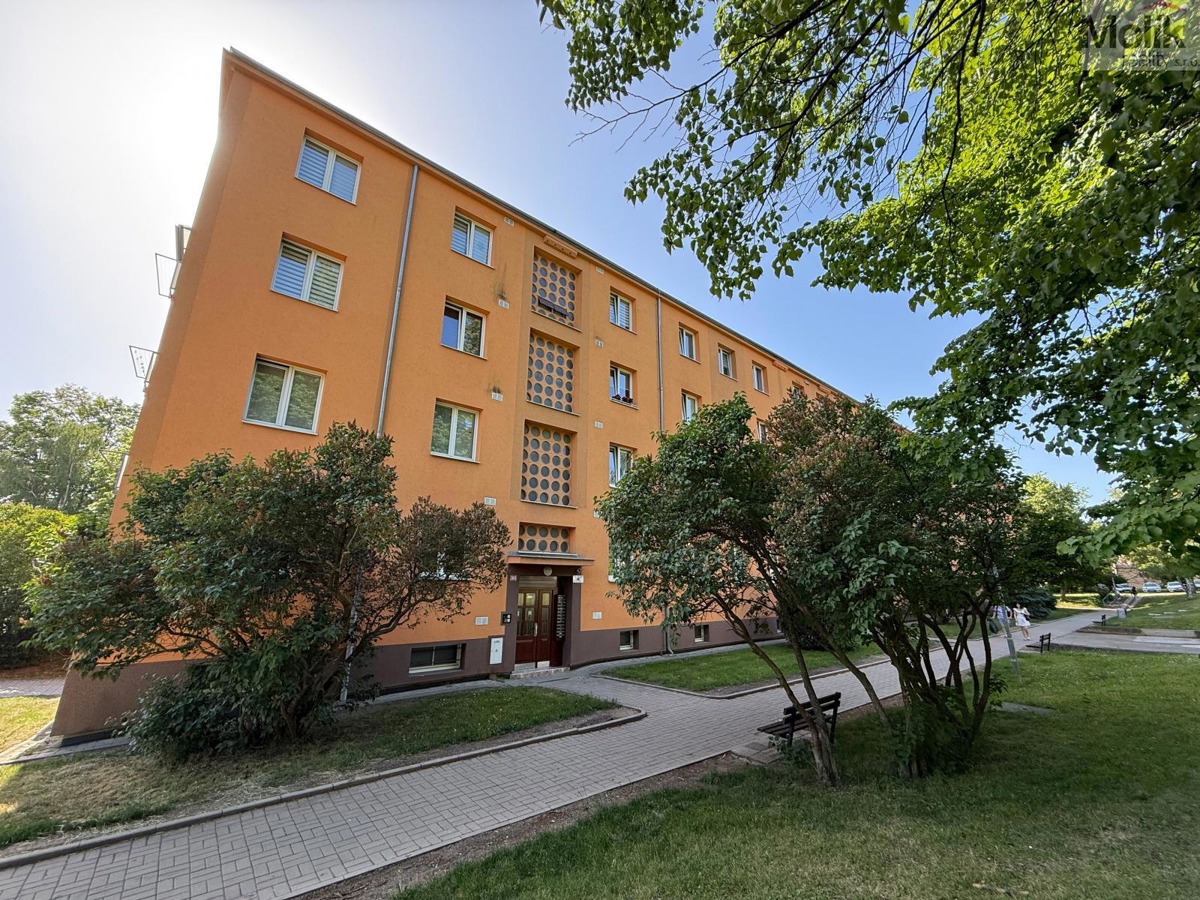 Pronájem bytu · 2+1 · 50 m²