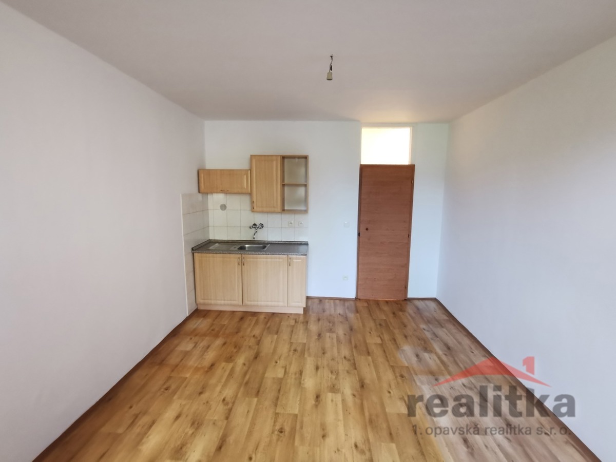 Apartment for rent · 1+kk · 21 m²