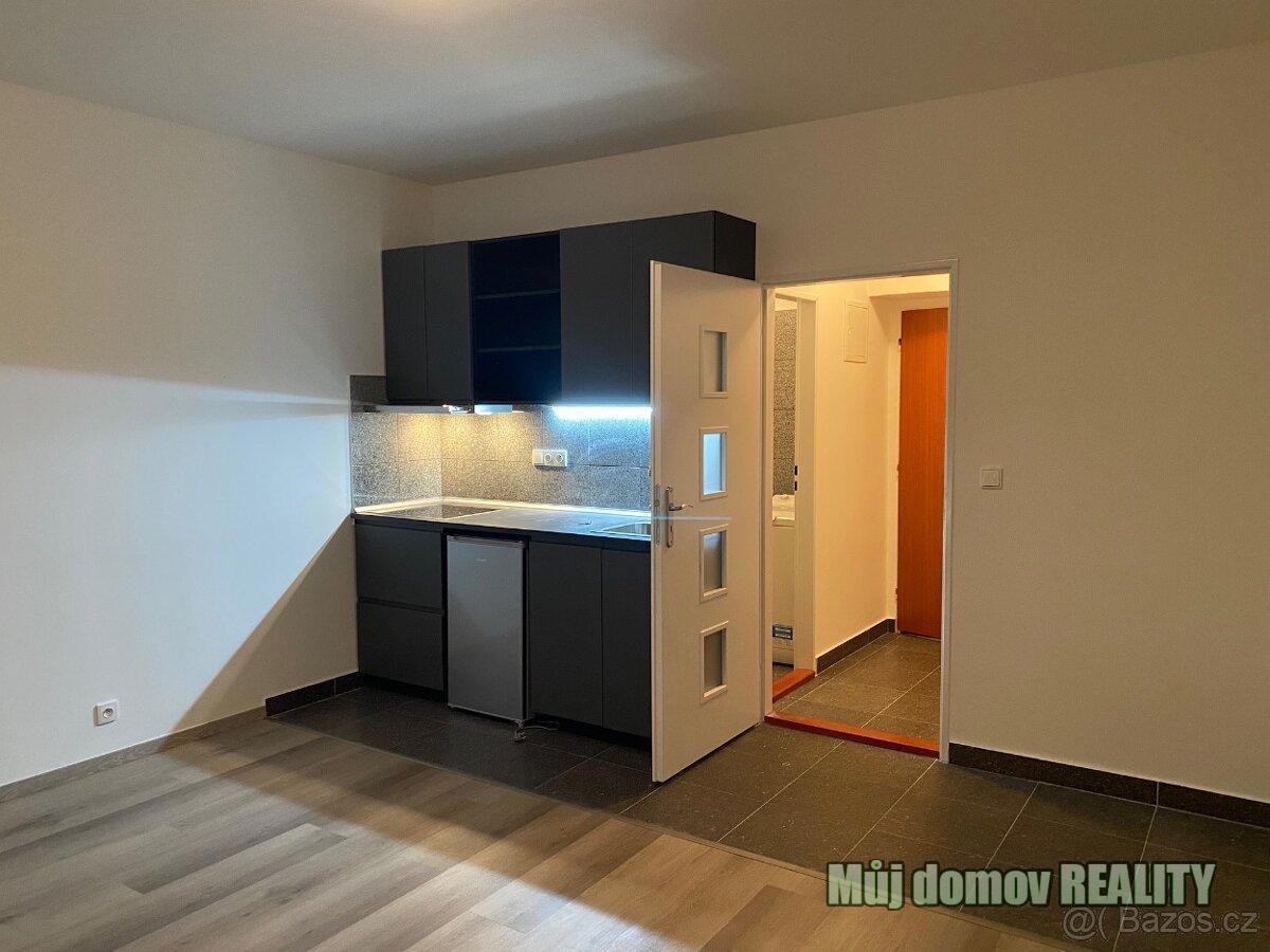 Căn hộ cho thuê · 1+kk · 22 m²
