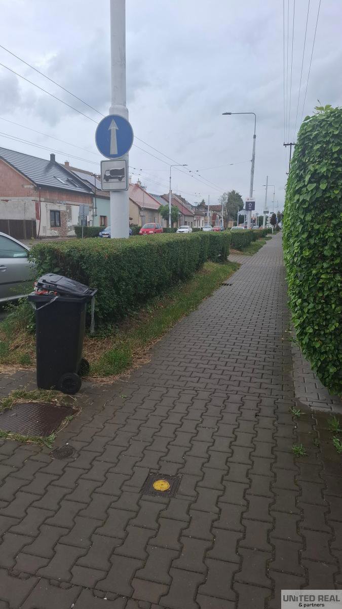 Fotografie 5/13