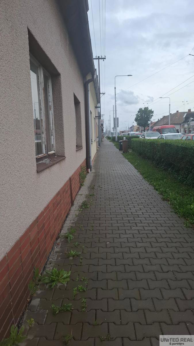 Fotografie 2/13
