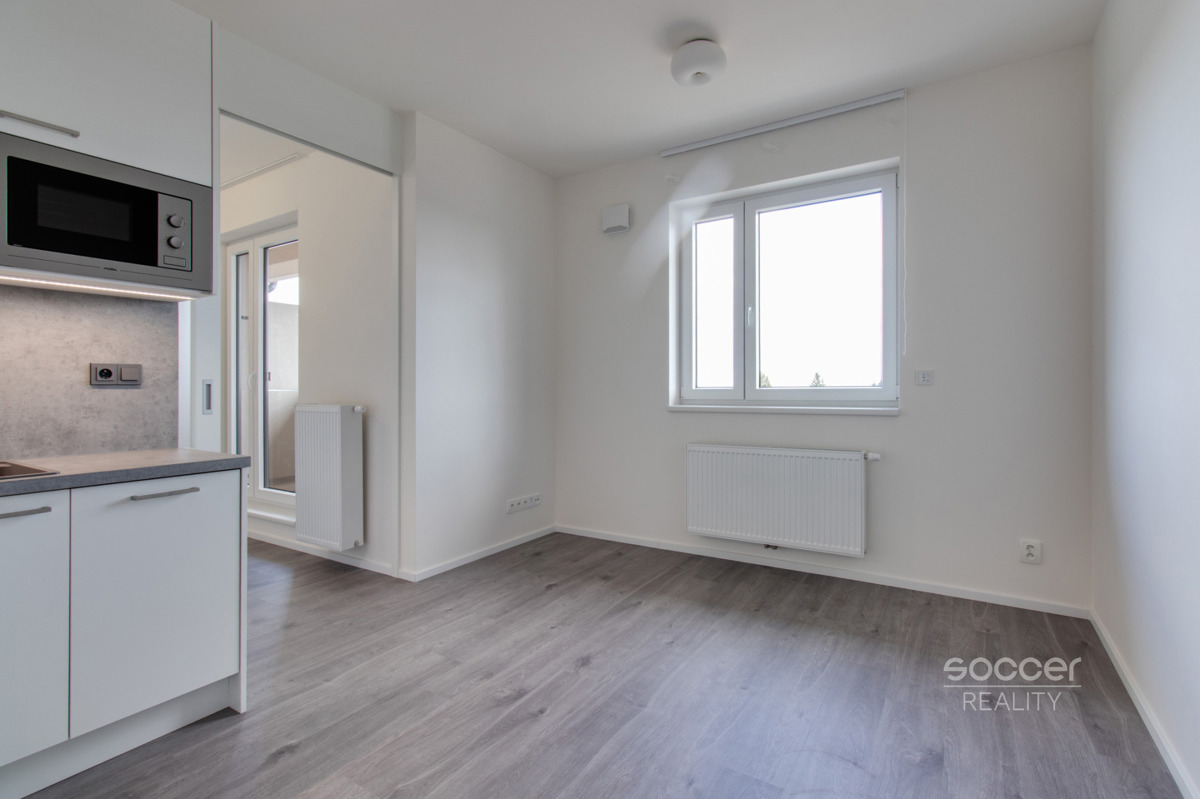 Fotografie 2 - Pronájem bytu · 1+kk · 34 m²