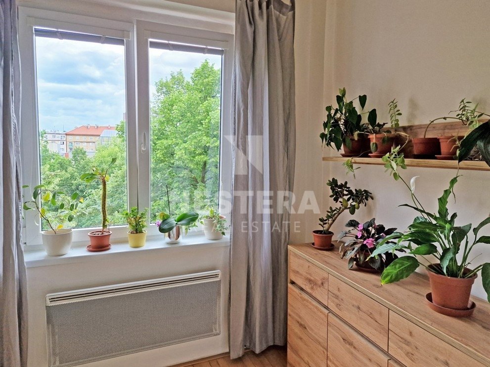 Fotografie 2/21