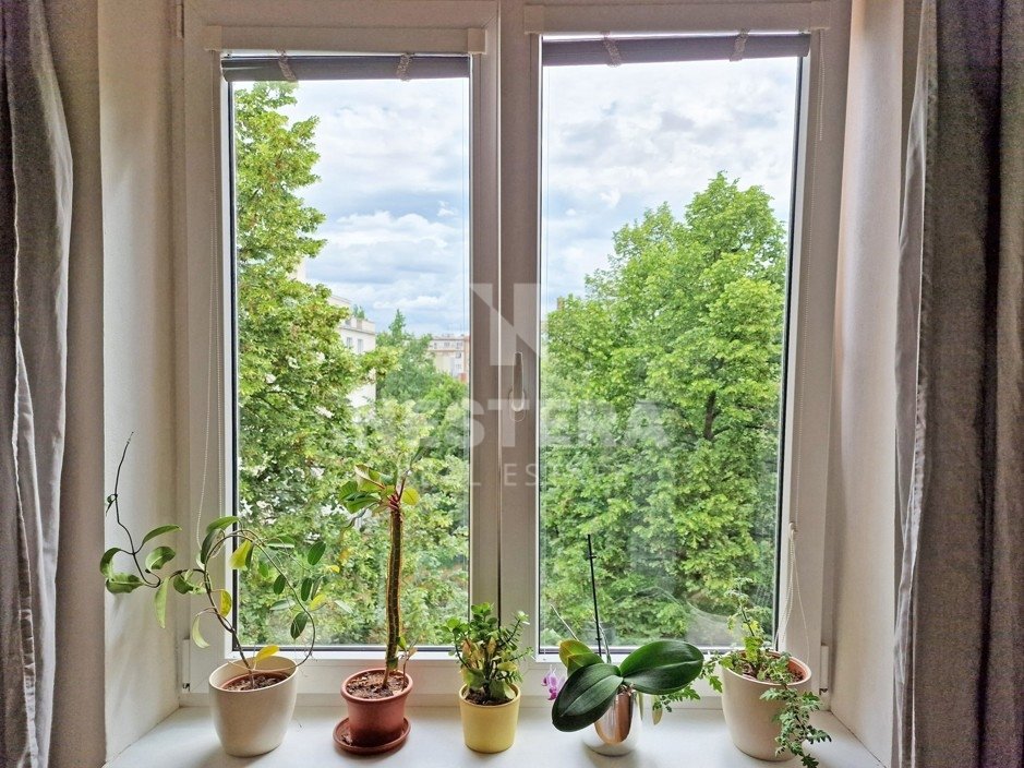 Fotografie 4/21