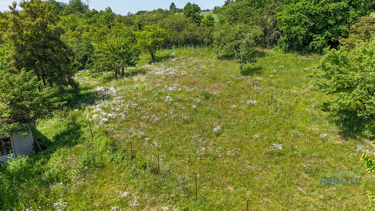 Fotografie 4 - Prodej pozemku · Zahrada · 10 599 m²