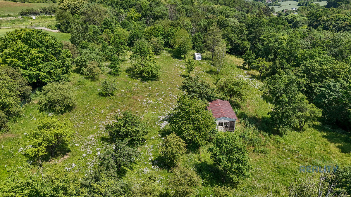 Fotografie 2 - Prodej pozemku · Zahrada · 10 599 m²