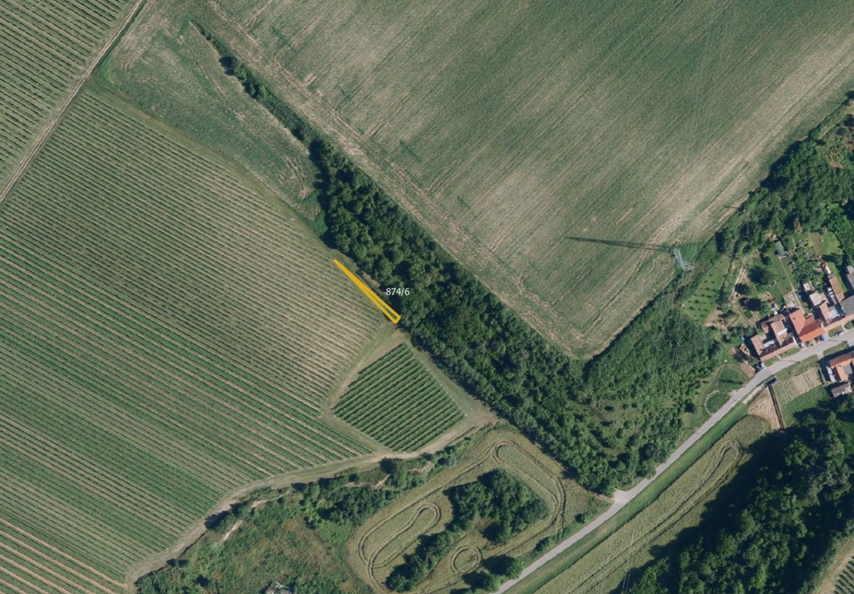 Fotografie 3 - Prodej pozemku · Vinice · 63 228 m²