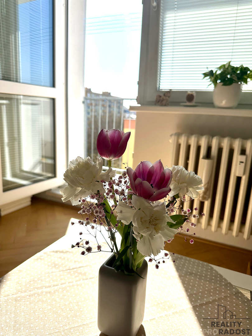 Fotografie 4 - Prodej bytu · 1+1 · 34 m²