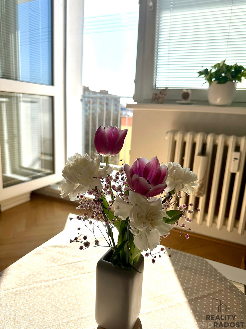 Fotografie 4/9