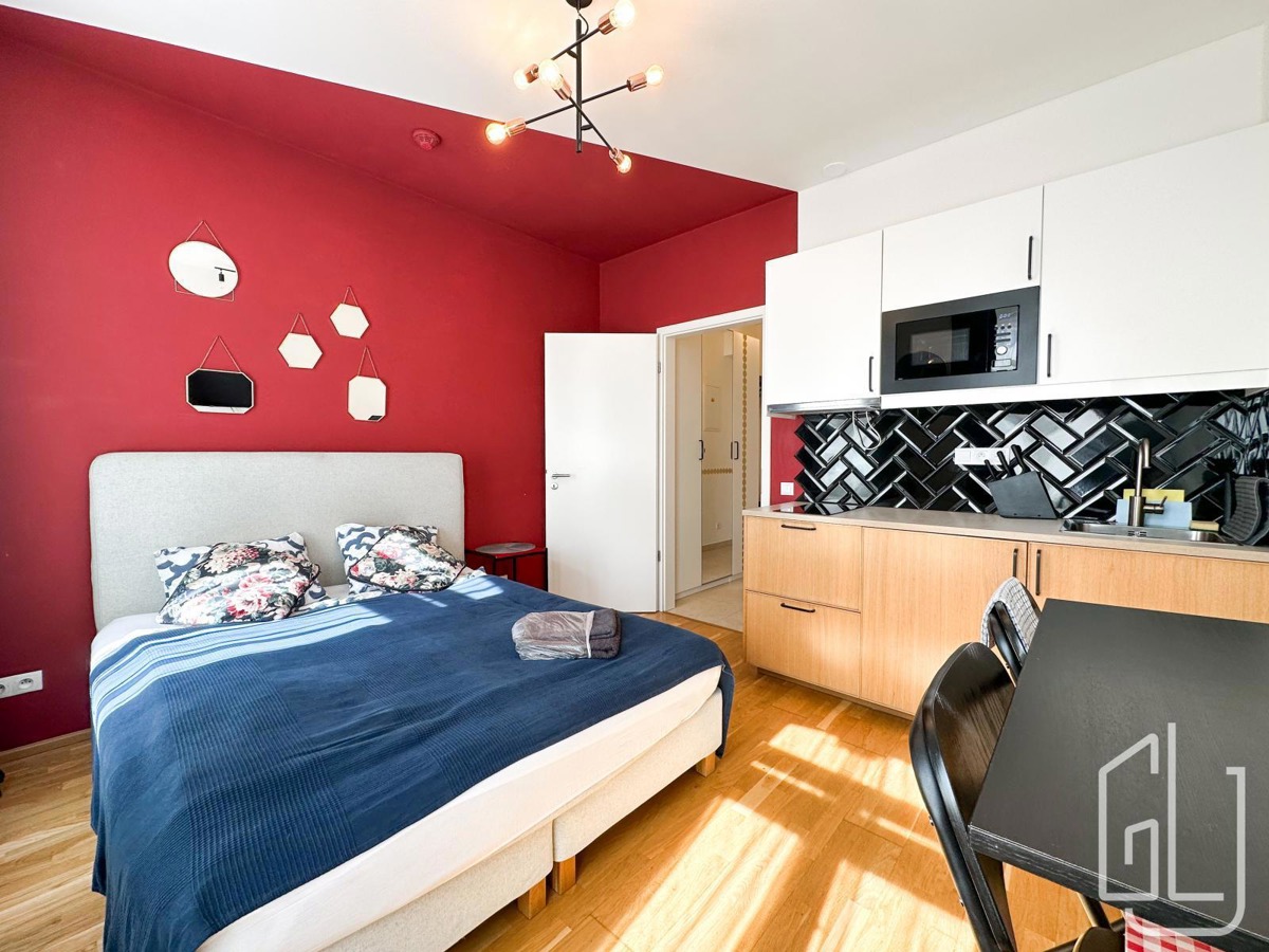 Аренда квартиры · 1+kk · 25 m²