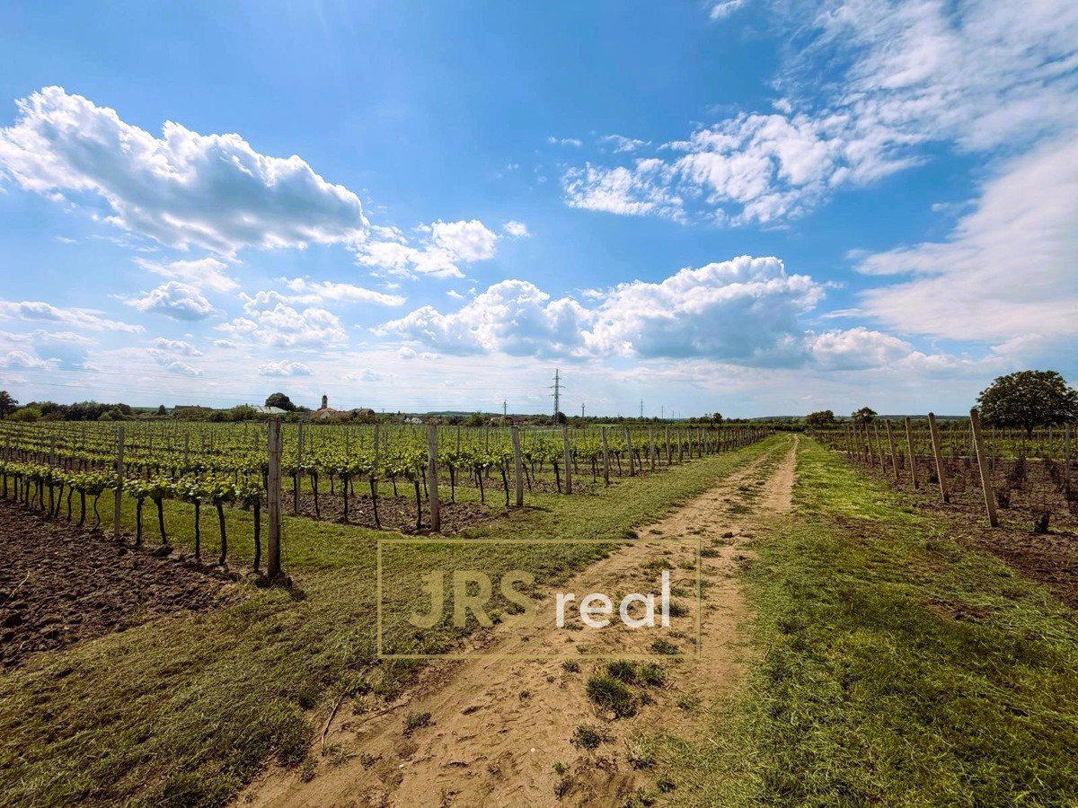 Fotografie 9/9