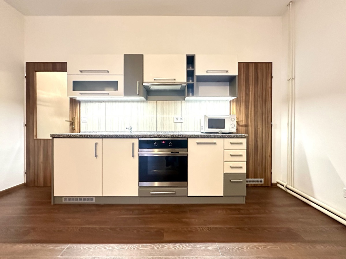 Fotografie 1 - Pronájem bytu · 1+kk · 44 m²
