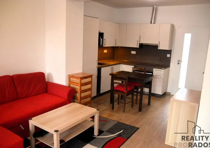 Apartment for rent · 1+kk · 42 m²