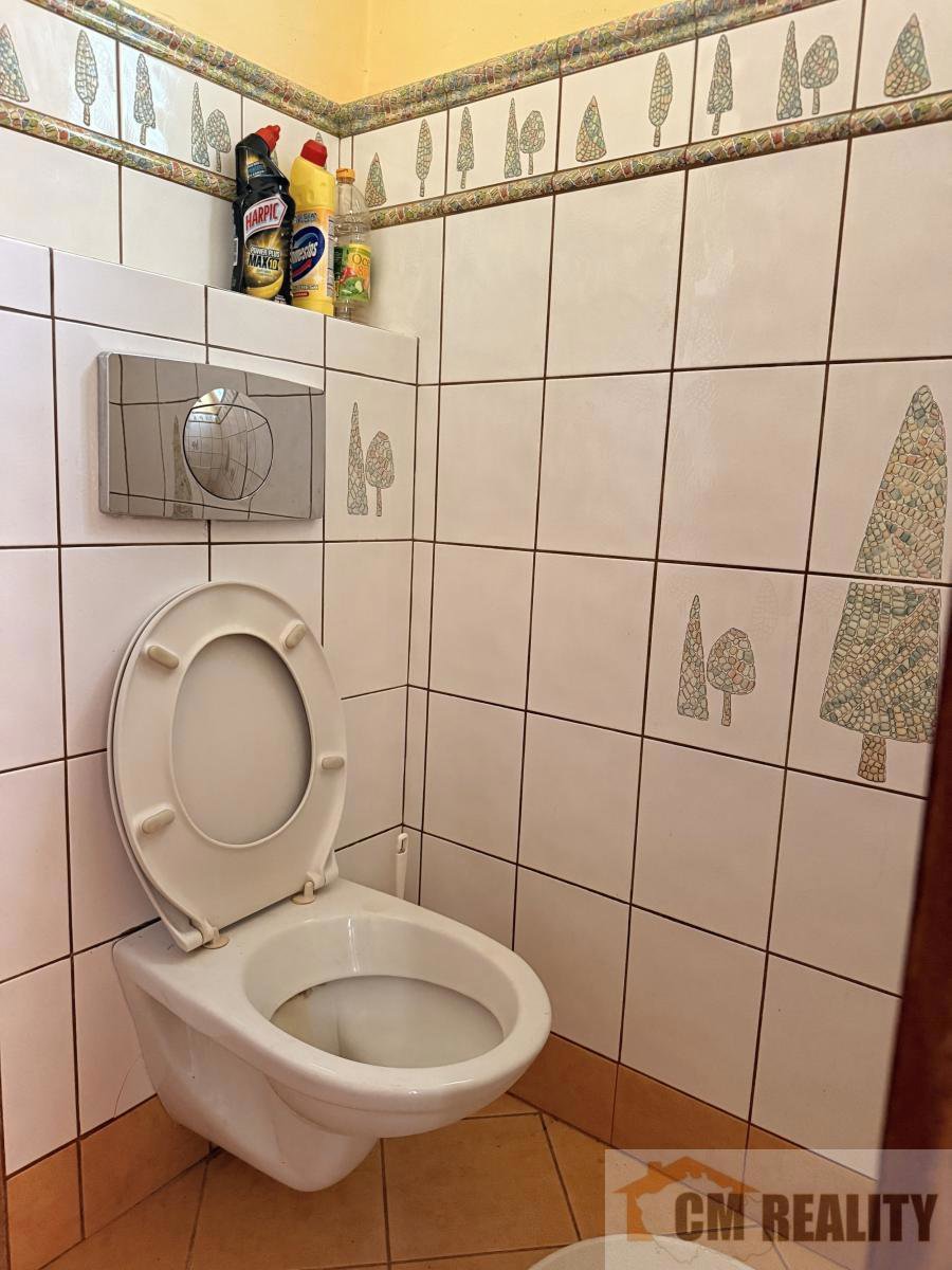 Fotografie 11/11