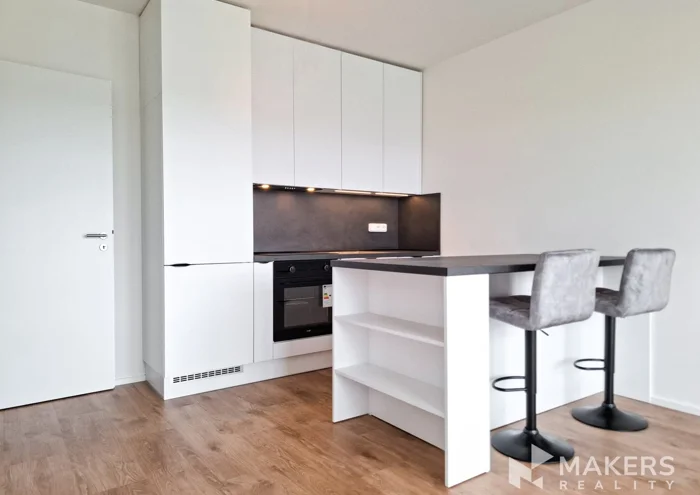 Căn hộ cho thuê · 2+kk · 45 m²