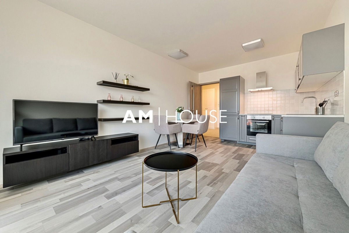 Fotografie 2 - Pronájem bytu · 2+kk · 59 m²