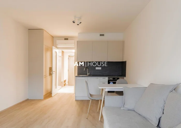 Аренда квартиры · 1+kk · 38 m²