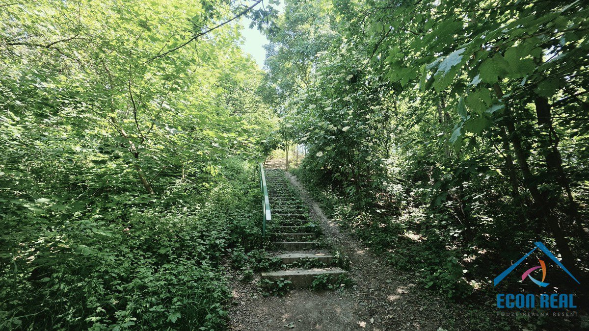 Fotografie 19/29
