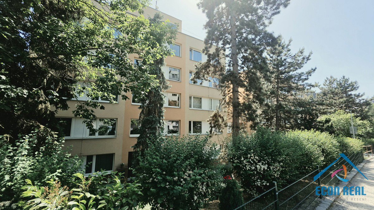 Fotografie 6/29