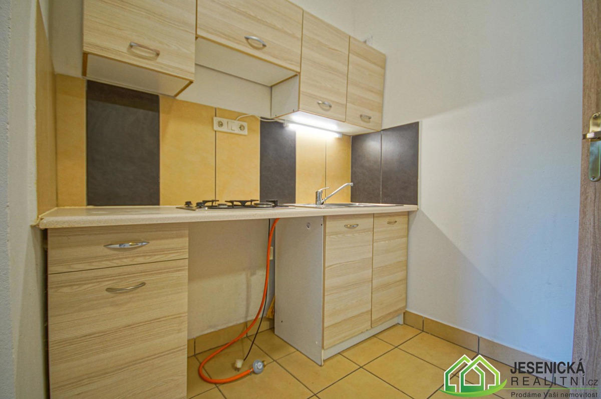 Pronájem bytu · 1+kk · 31 m²