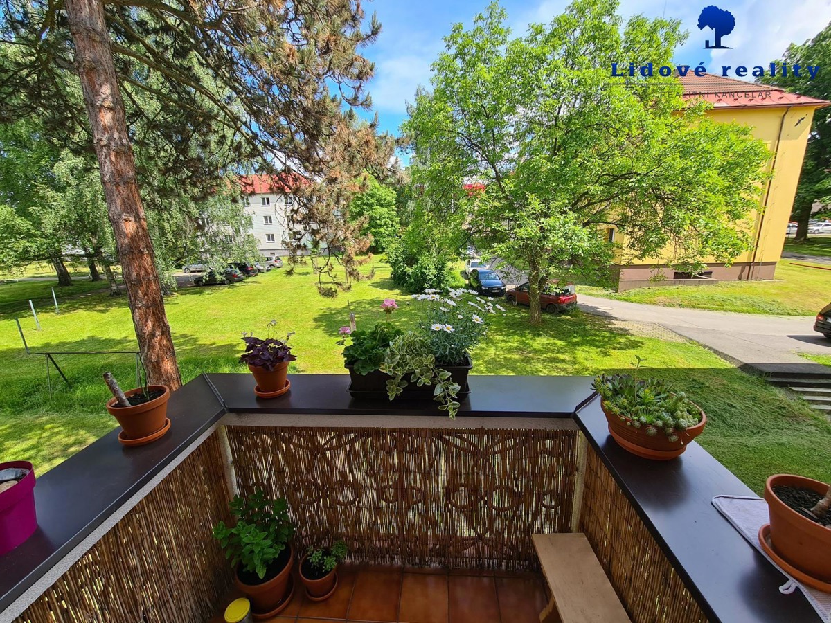 Fotografie 4 - Pronájem bytu · 2+1 · 54 m²