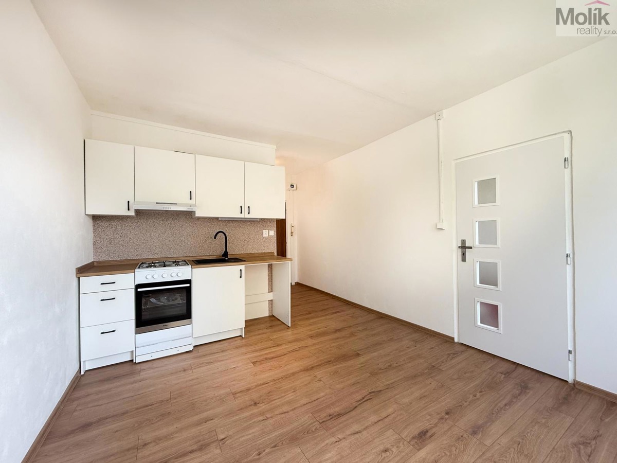 Fotografie 4 - Prodej bytu · 1+1 · 35 m²