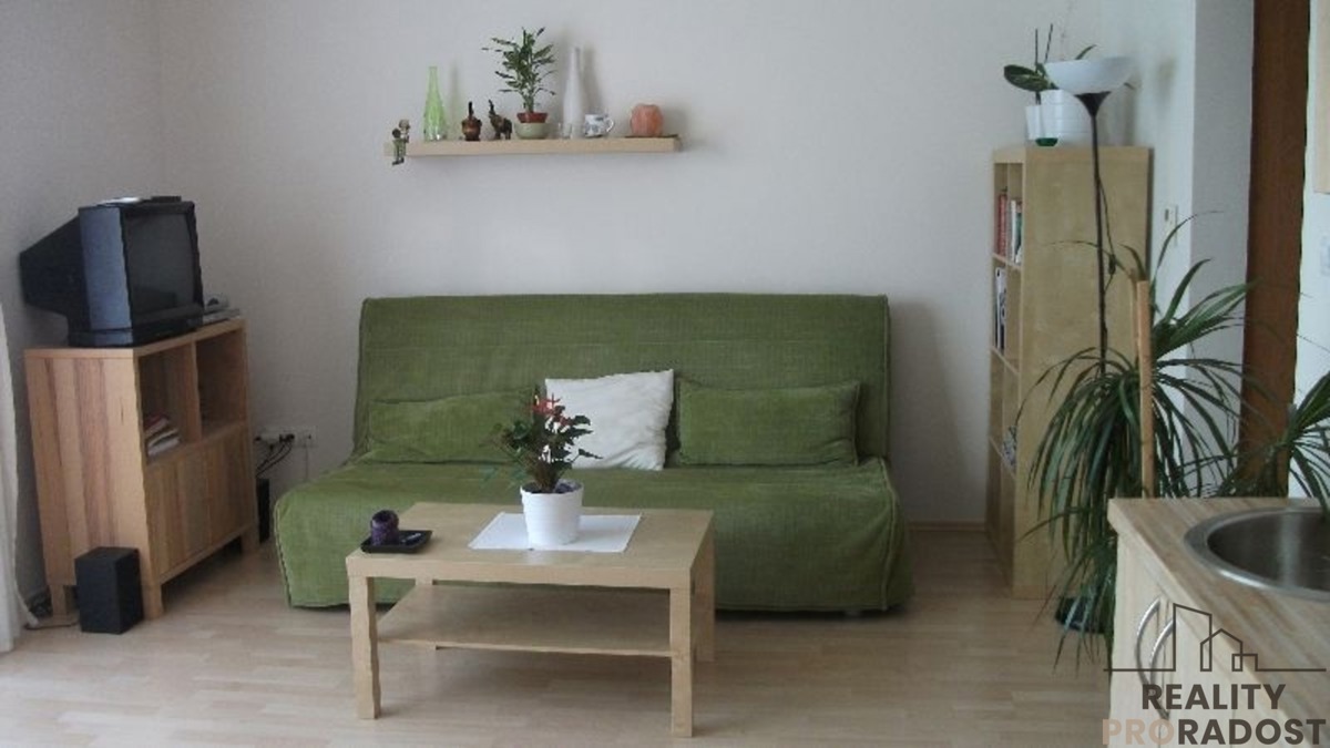 Căn hộ cho thuê · 1+kk · 29 m²