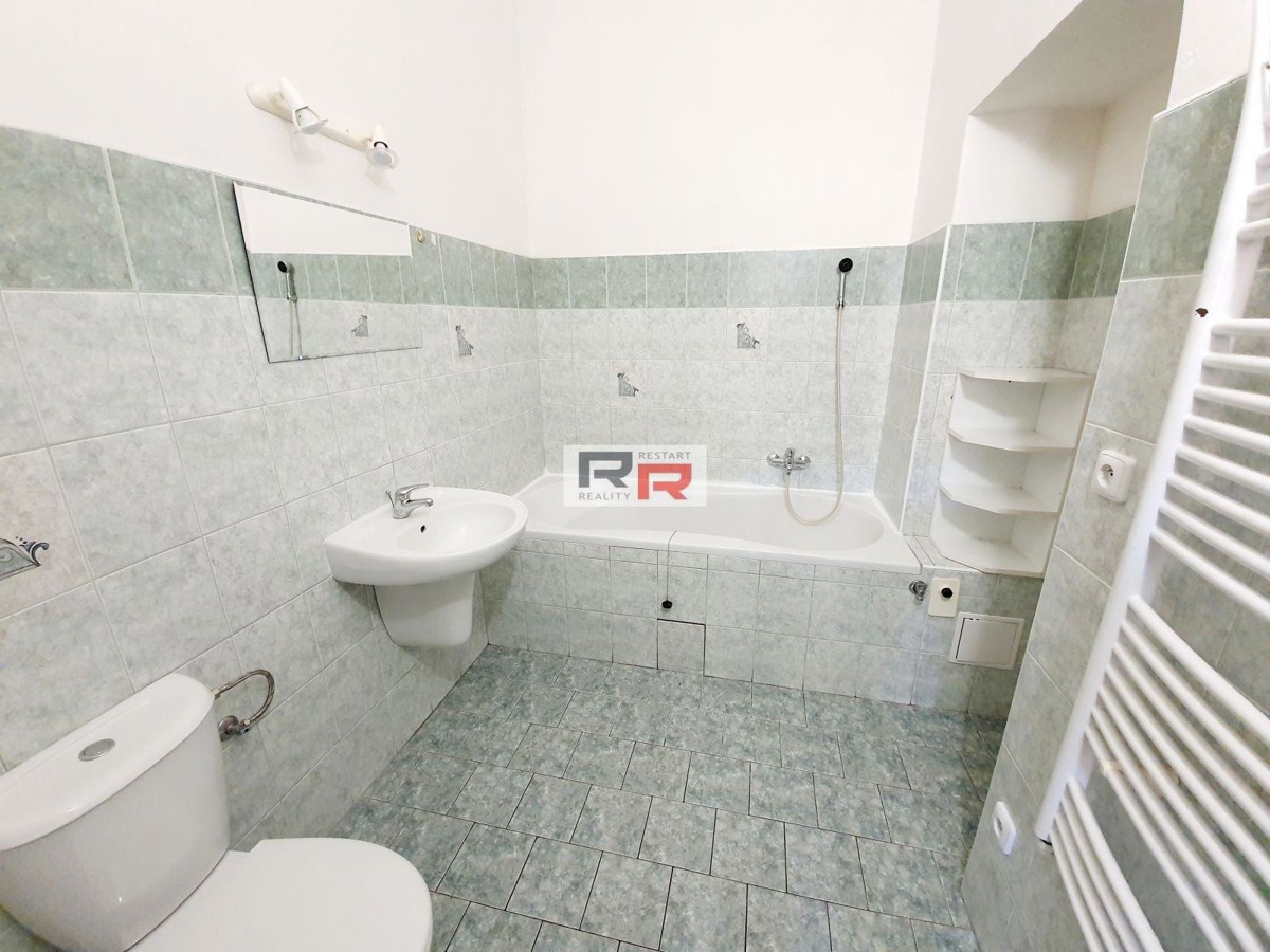 Fotografie 1 - Pronájem bytu · 1+1 · 52 m²