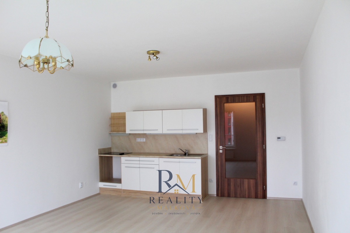 Fotografie 3 - Pronájem bytu · 1+kk · 38 m²