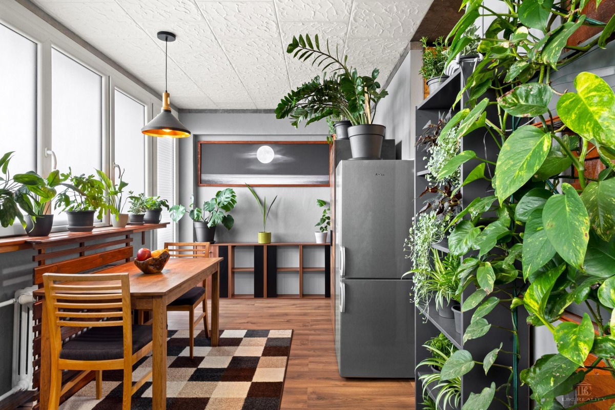 Fotografie 4 - Prodej bytu · 2+1 · 53 m²