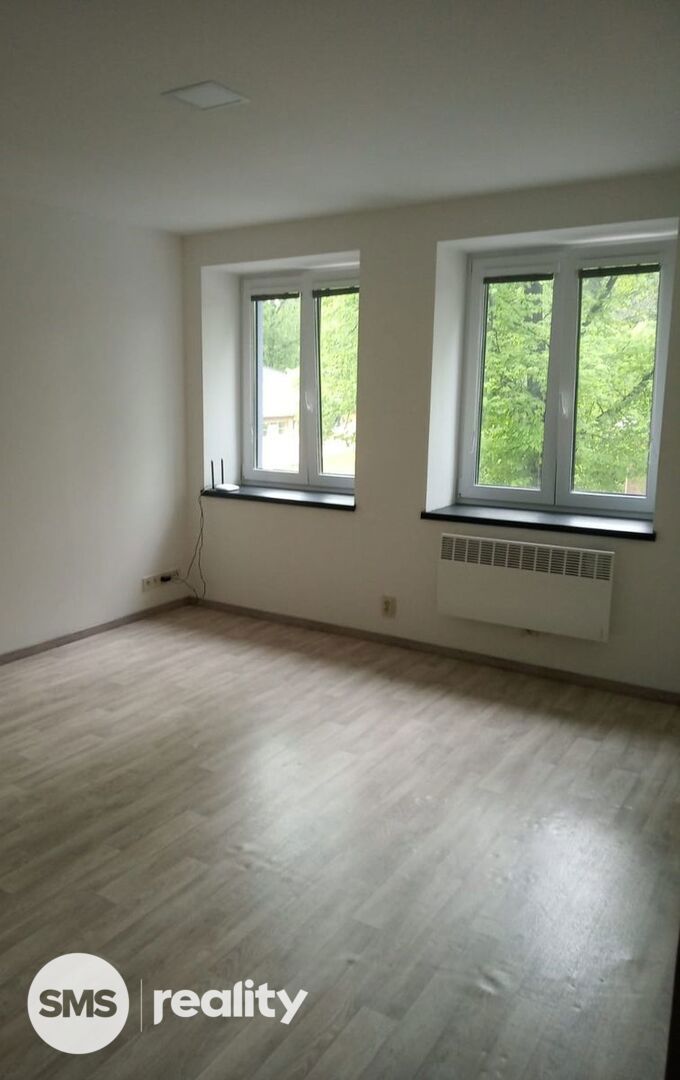 Fotografie 3 - Pronájem bytu · 1+1 · 25 m²