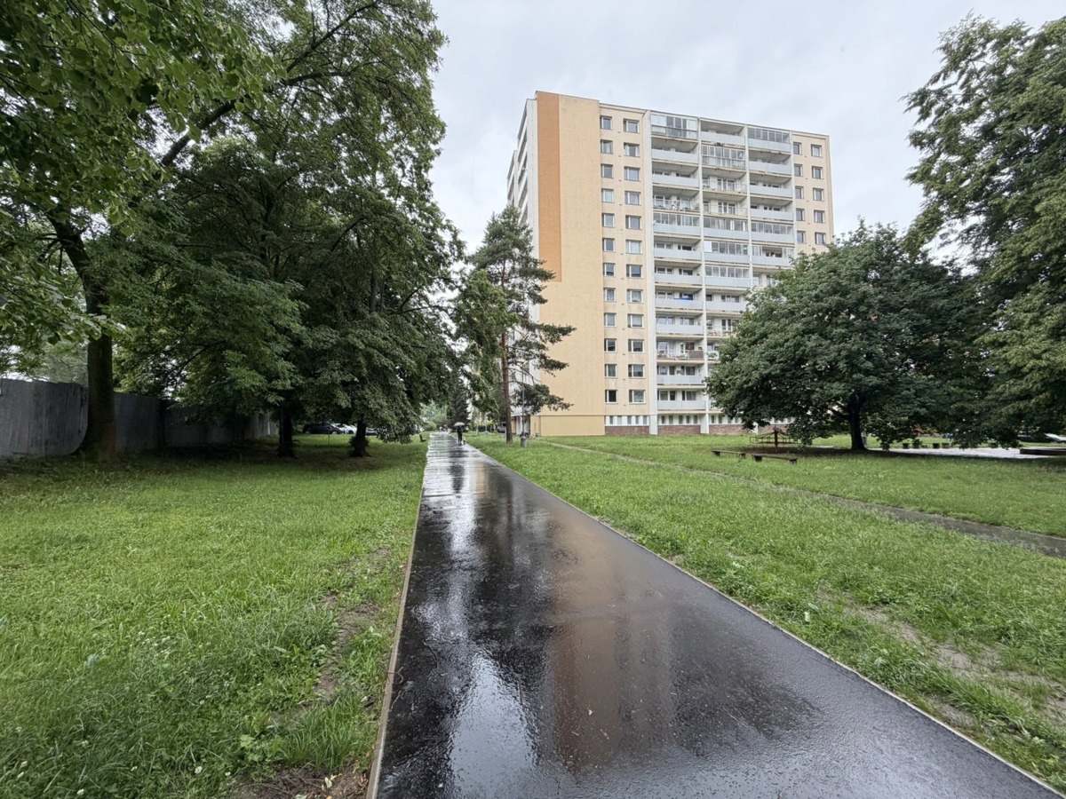 Pronájem bytu · 1+1 · 43 m²