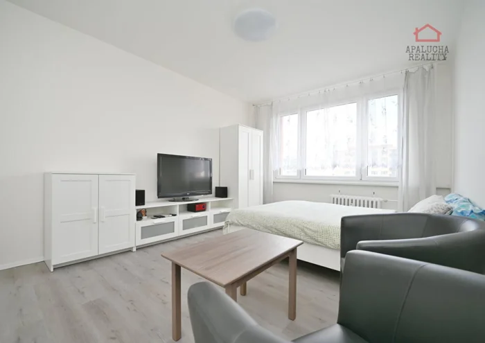 Căn hộ cho thuê · 1+kk · 23 m²