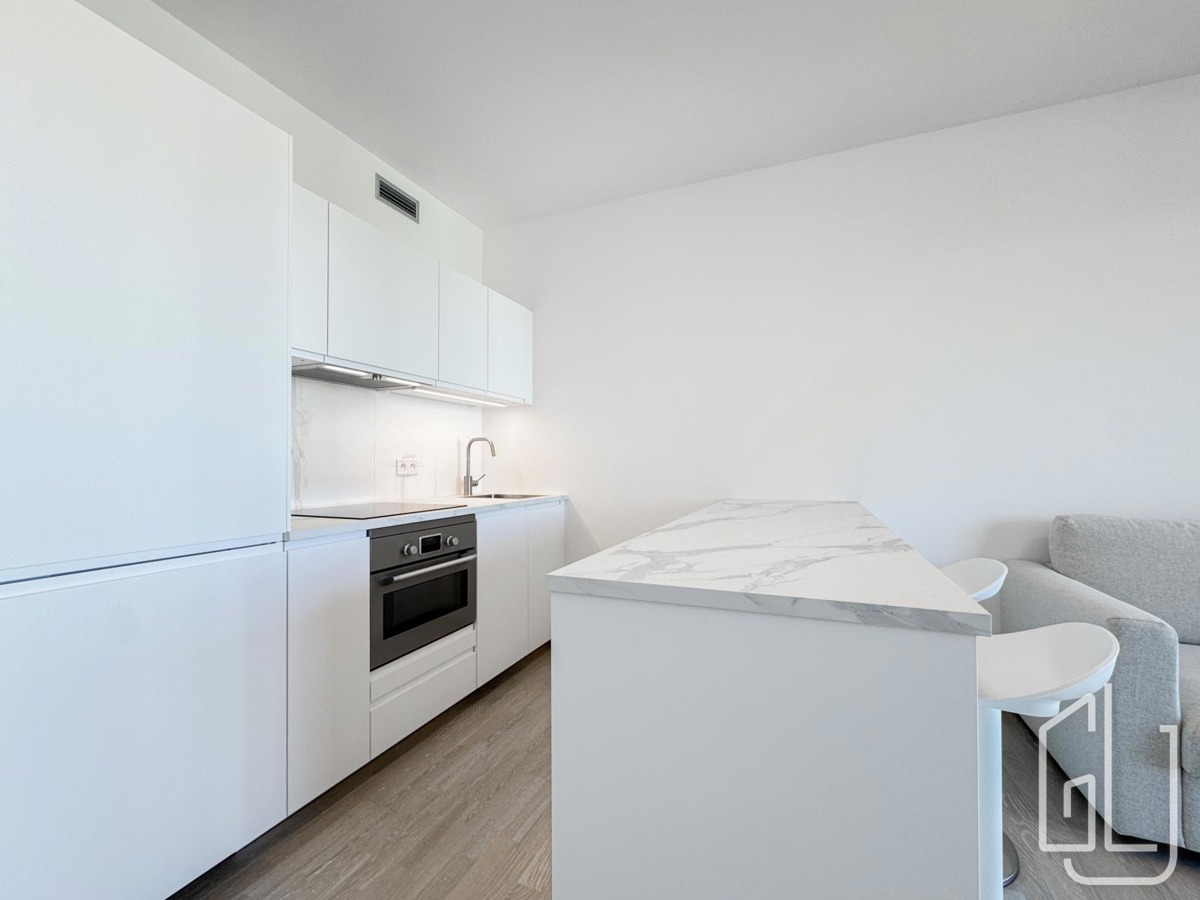 Pronájem bytu · 1+kk · 35 m²