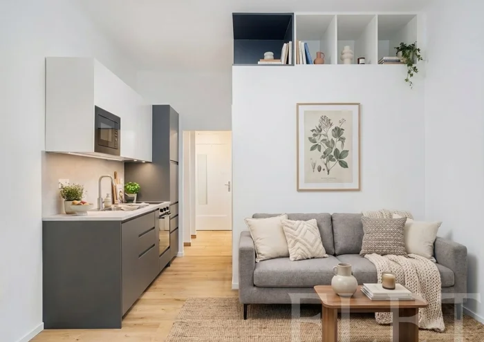 Căn hộ cho thuê · 1+kk · 22 m²