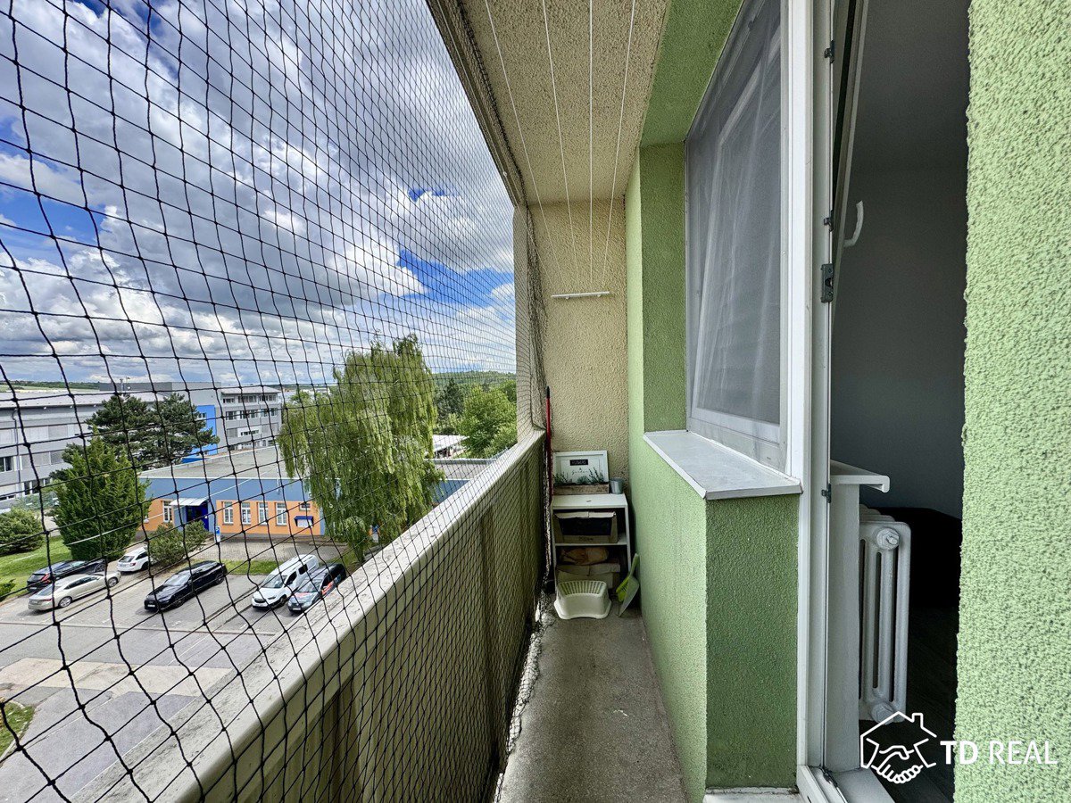 Fotografie 11/15