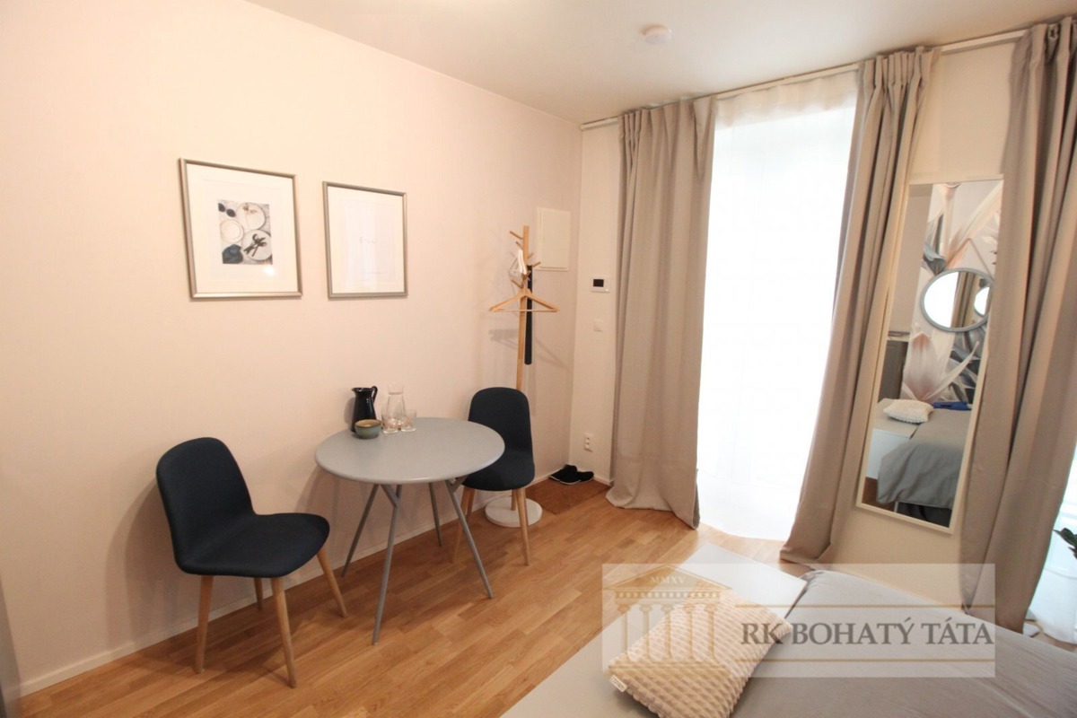 Apartment for rent · 1+kk · 23 m²