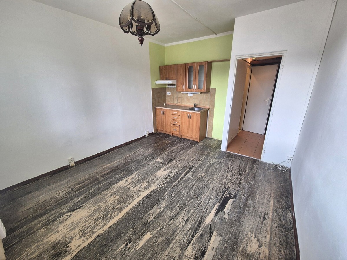 Căn hộ cho thuê · 1+kk · 20 m²