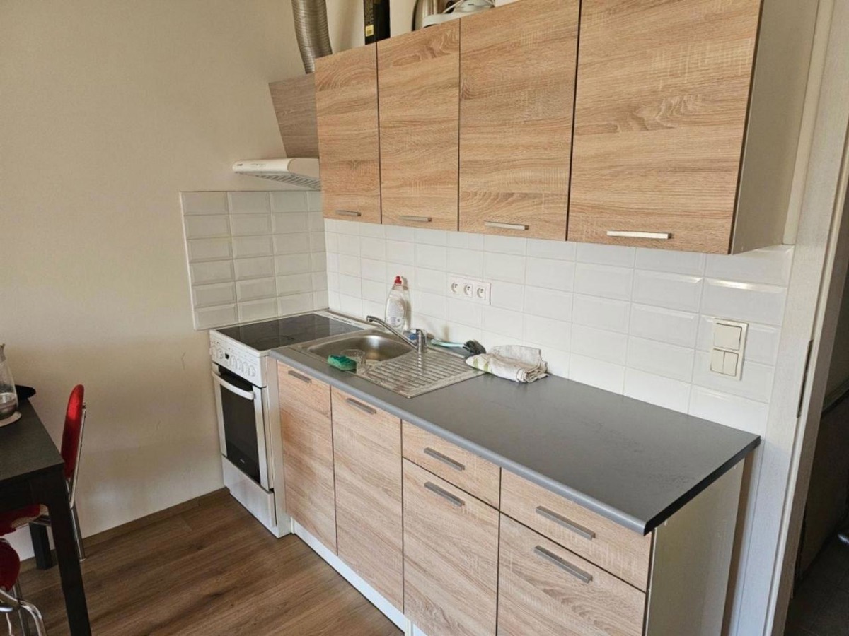Căn hộ cho thuê · 1+kk · 45 m²