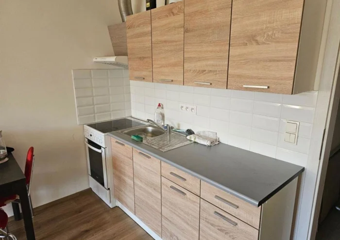 Оренда квартири · 1+kk · 45 m²