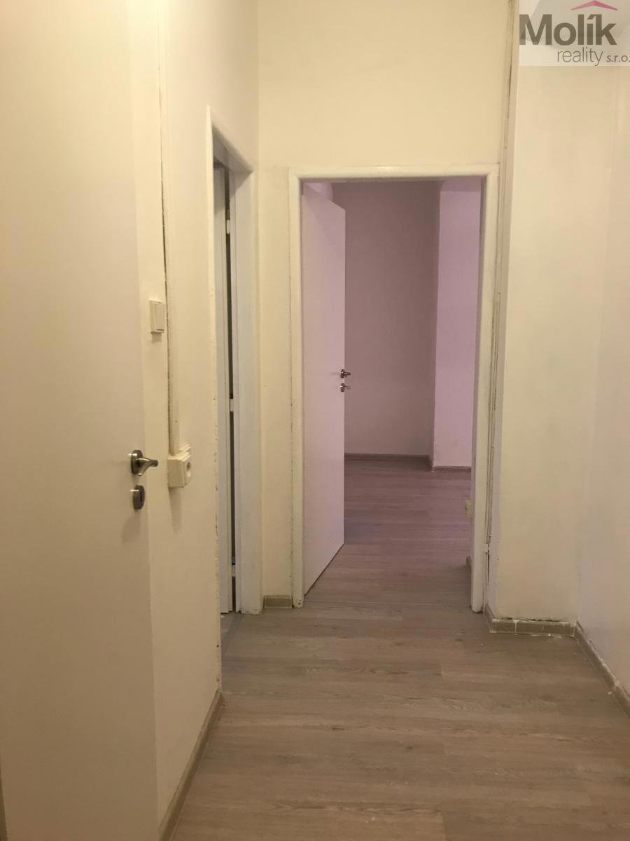 Fotografie 10/12