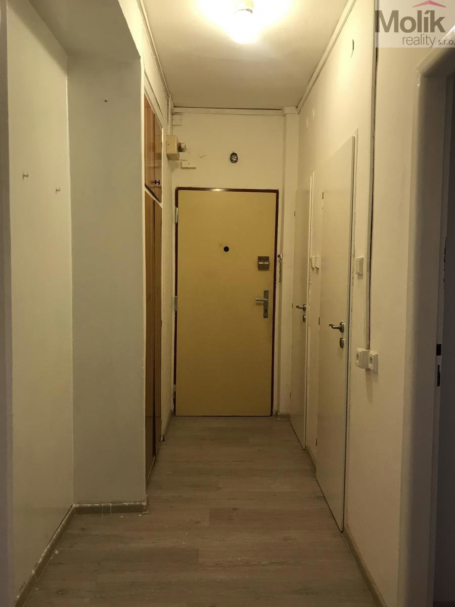 Fotografie 12/12