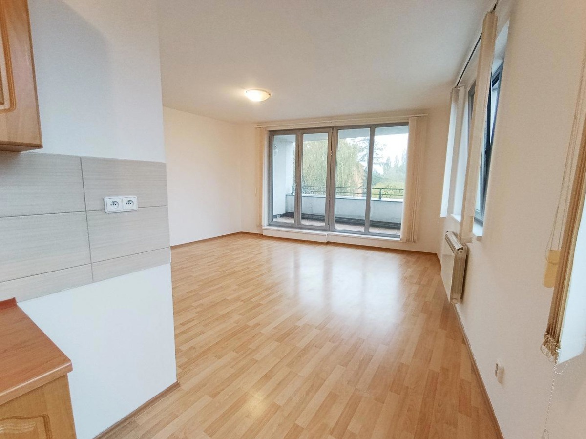 Fotografie 4 - Pronájem bytu · 1+kk · 45 m²