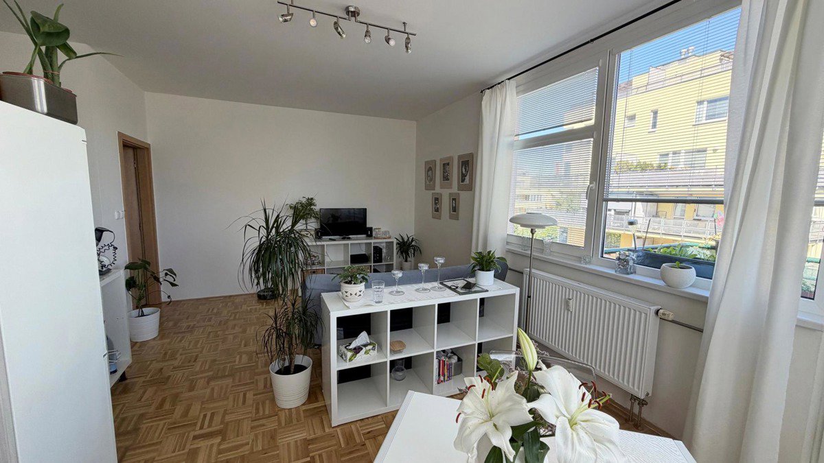 Fotografie 7/25