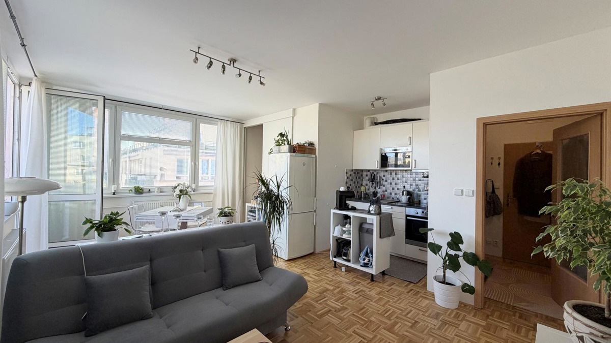 Pronájem bytu · 2+kk · 41 m²